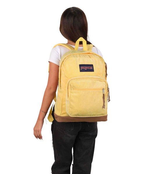 JanSport Right Pack Expressions Sun Shimmer 15.6 Inch